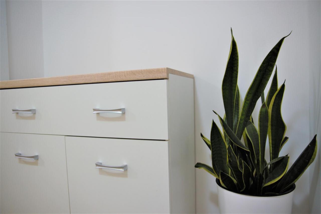 Central Modern Apt With Garden Струга Екстер'єр фото